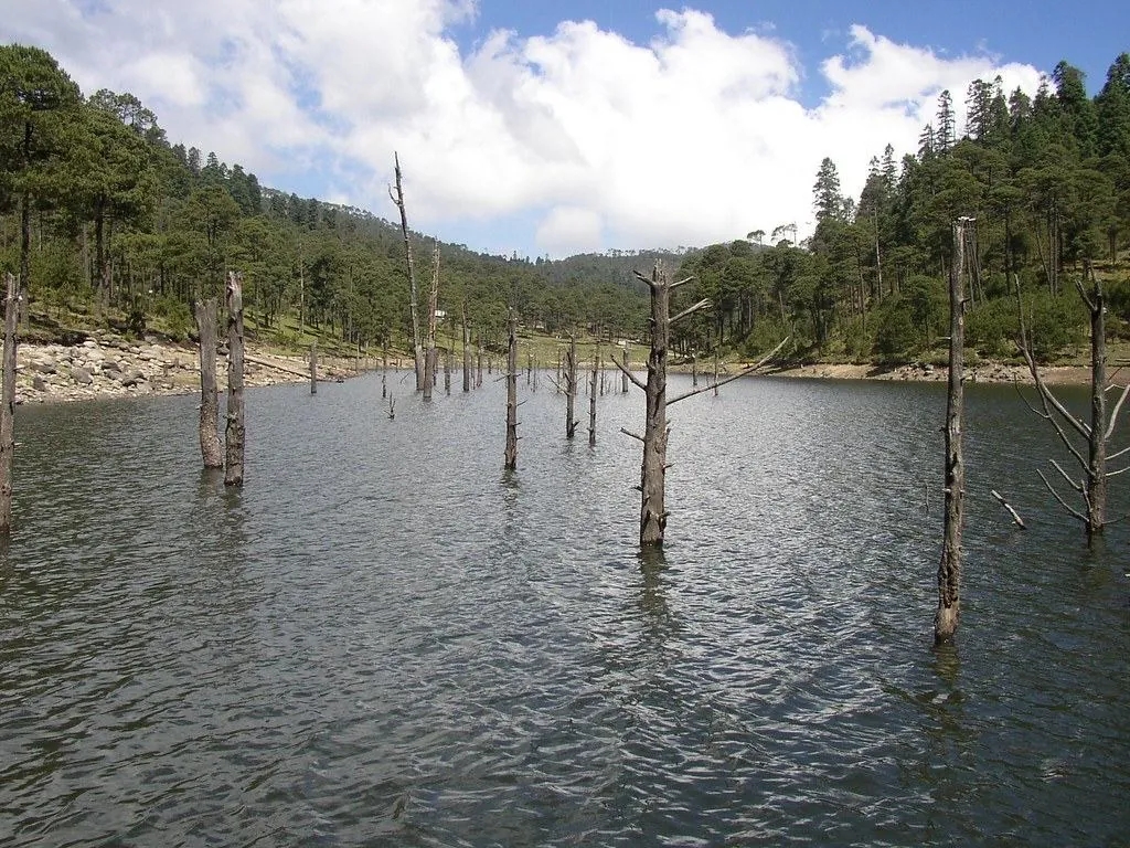 Presa Iturbide, caminata Hiking Mountain MX