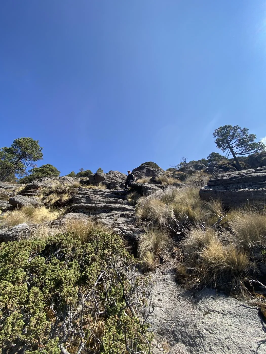 Ascenso al Monte Telapón