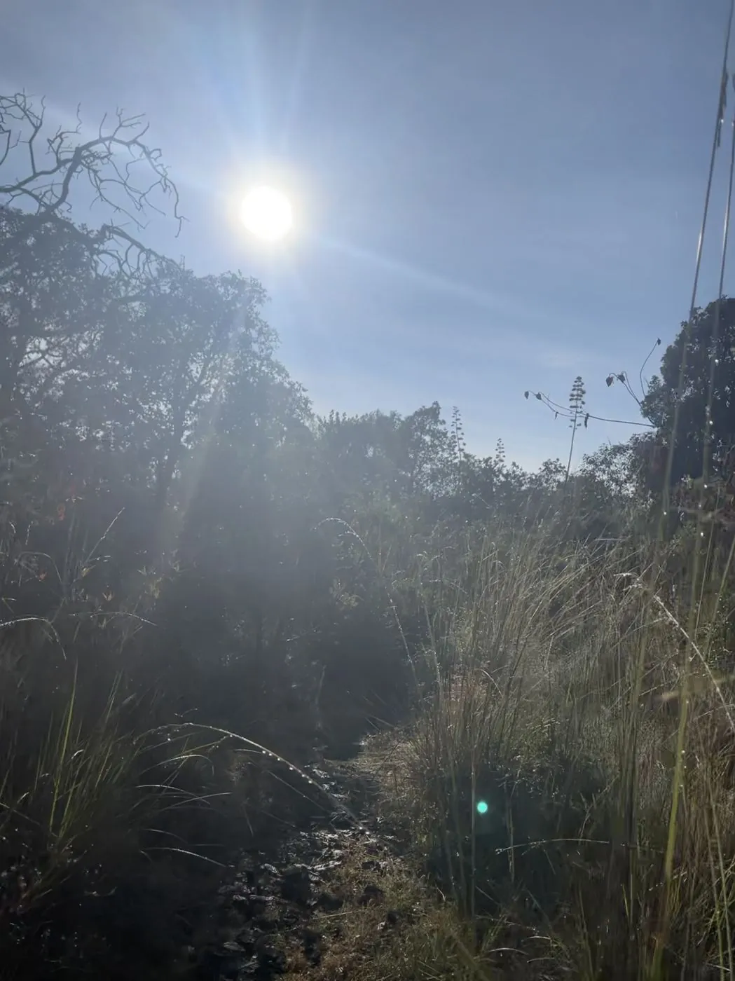 Xitle / Ciclovía Ferrocarril a Cuernavaca — fotografía del documento HMMX