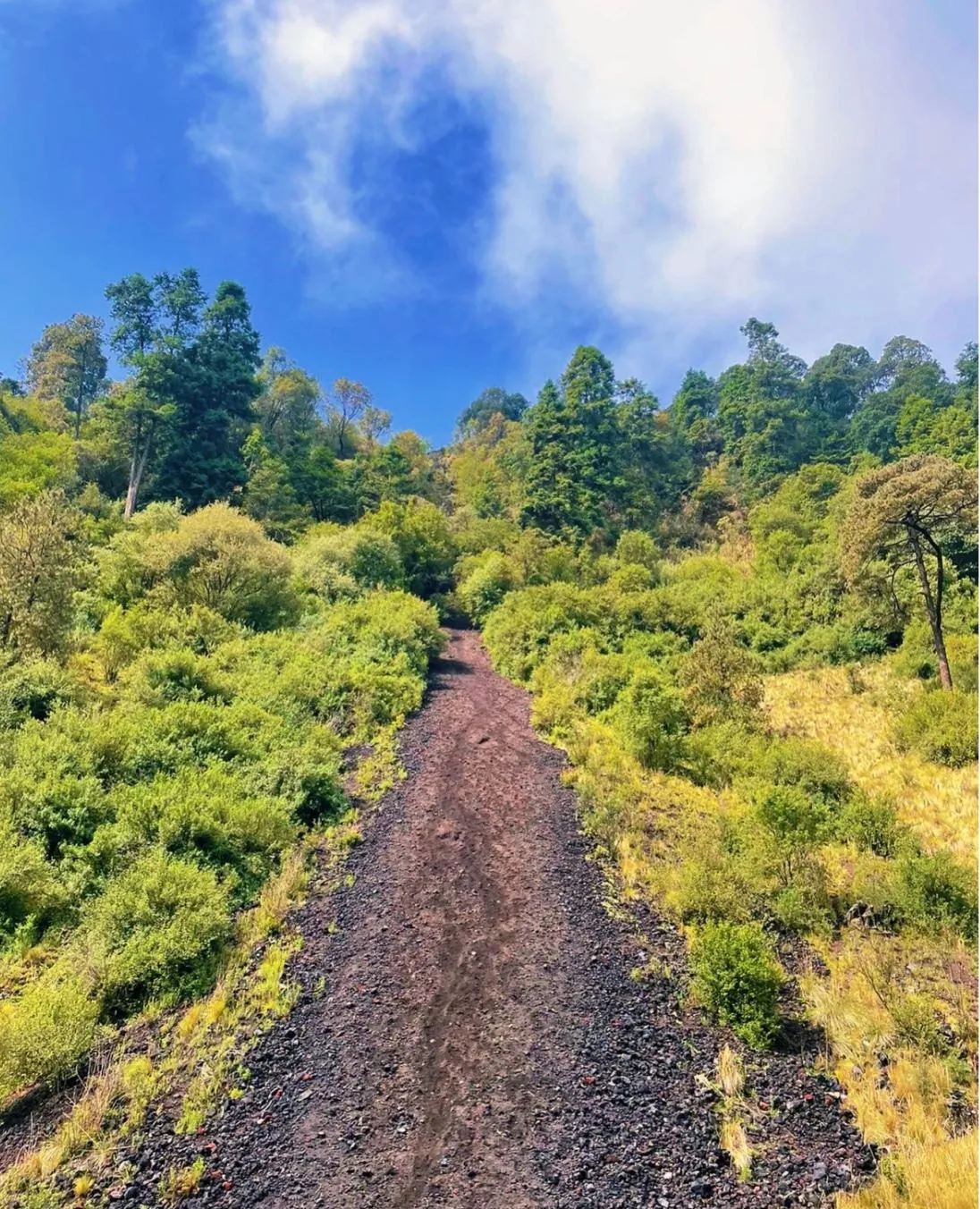 Volcán Xitle, Cráter — fotografía del documento HMMX