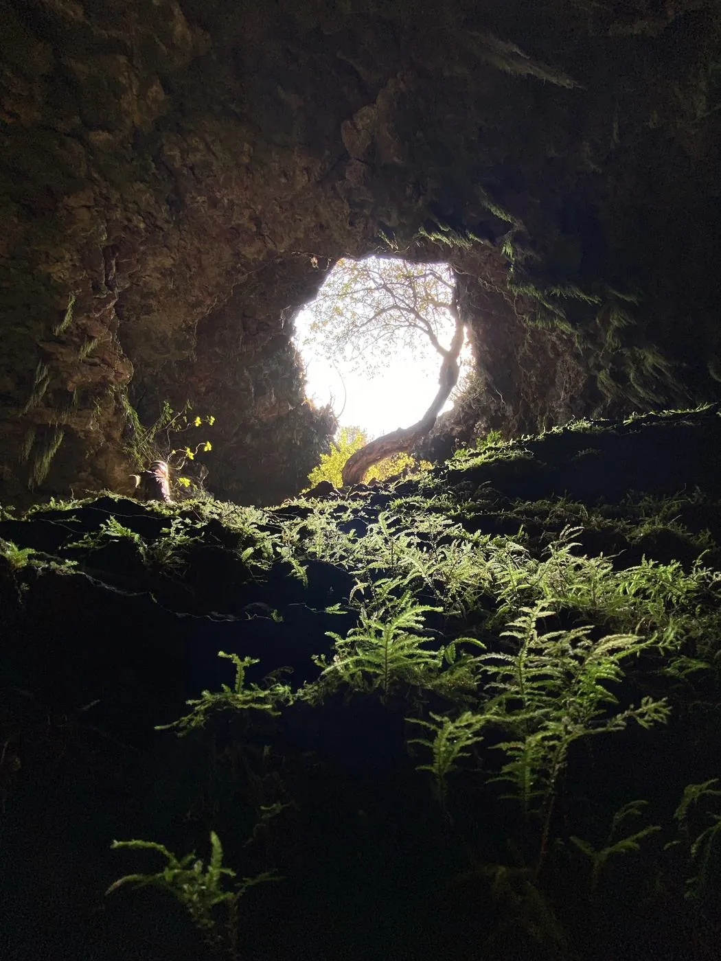 Cuevas de Lava, Volcán Xitle — fotografía del documento HMMX